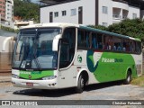 Pássaro Verde 27007 na cidade de Viçosa, Minas Gerais, Brasil, por Christian  Fortunato. Número da foto: #:id.