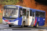 Transportes Capellini 32.062 na cidade de Campinas, São Paulo, Brasil, por Paulo Henrique Pereira Borges. Número da foto: #13137875.