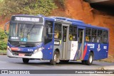 Transportes Capellini 19.172 na cidade de Campinas, São Paulo, Brasil, por Paulo Henrique Pereira Borges. Número da foto: #13137869.