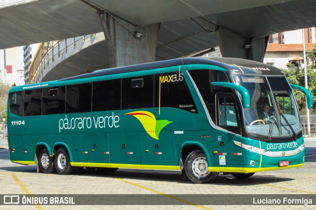 Pássaro Verde 11104 na cidade de Belo Horizonte, Minas Gerais, Brasil, por Luciano Formiga. Número da foto: #13142078.