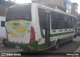 Saylla 17 na cidade de Santiago, Cuzco, Cuzco, Peru, por Fabricio Cortez. Número da foto: #13139754.