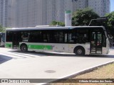 Viação Santa Brígida 1 1752 na cidade de São Paulo, São Paulo, Brasil, por Gilberto Mendes dos Santos. Número da foto: #:id.