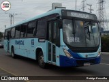 Transcal Sul Transportes Coletivos 24198 na cidade de Cachoeirinha, Rio Grande do Sul, Brasil, por Rodrigo Koscolka. Número da foto: #13140377.