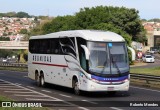 Reunidas Transportes Coletivos 33805 na cidade de Marília, São Paulo, Brasil, por Roberto Mendes. Número da foto: #13138790.