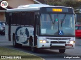 Citral Transporte e Turismo 2806 na cidade de Canela, Rio Grande do Sul, Brasil, por Rodrigo Koscolka. Número da foto: #13140367.