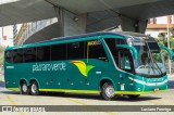 Pássaro Verde 11104 na cidade de Belo Horizonte, Minas Gerais, Brasil, por Luciano Formiga. Número da foto: #:id.