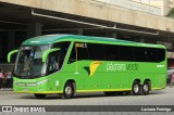 Pássaro Verde 16901 na cidade de Belo Horizonte, Minas Gerais, Brasil, por Luciano Formiga. Número da foto: #13142076.