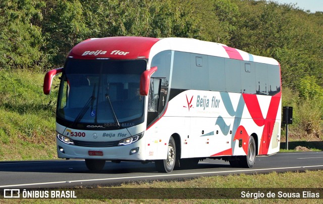 Beija Flor Turismo 5300 na cidade de Santa Bárbara d`Oeste, São Paulo, Brasil, por Sérgio de Sousa Elias. Número da foto: #13144906.