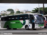 Pássaro Verde 29020 na cidade de Belo Horizonte, Minas Gerais, Brasil, por Douglas Andrez. Número da foto: #13144217.