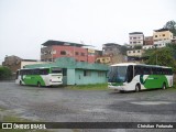 Pássaro Verde 2850 na cidade de Ubá, Minas Gerais, Brasil, por Christian  Fortunato. Número da foto: #13144865.