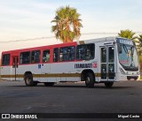 Expresso Itamarati 6824 na cidade de Severínia, São Paulo, Brasil, por Miguel Castro. Número da foto: #13142409.