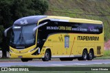 Viação Nova Itapemirim 60256 na cidade de Muriaé, Minas Gerais, Brasil, por Lucas Oliveira. Número da foto: #:id.