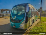 Vianel > Auto Viação Pioneira 02060 na cidade de Belo Horizonte, Minas Gerais, Brasil, por Pietro Briggs. Número da foto: #13142970.