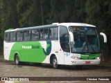 Pássaro Verde 29001 na cidade de Ubá, Minas Gerais, Brasil, por Christian  Fortunato. Número da foto: #13144855.