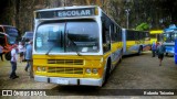 Associação de Preservação de Ônibus Clássicos 2442 na cidade de Campinas, São Paulo, Brasil, por Roberto Teixeira. Número da foto: #13143859.