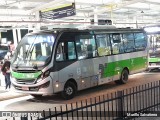 Transcooper > Norte Buss 1 6734 na cidade de São Paulo, São Paulo, Brasil, por Murillo Salvatierra. Número da foto: #13142354.