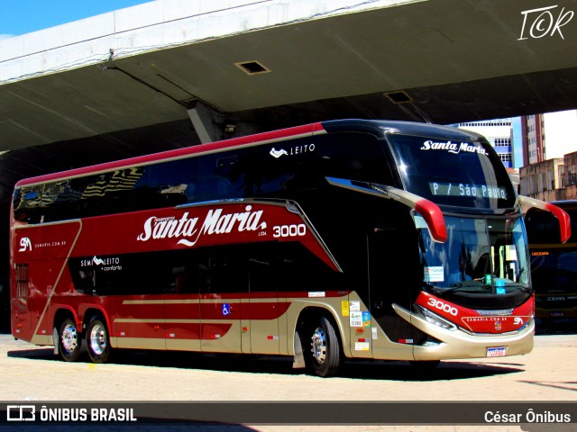 Santa Maria Fretamento e Turismo > Transportes Santa Maria(SP) 3000 na cidade de Belo Horizonte, Minas Gerais, Brasil, por César Ônibus. Número da foto: #13146135.