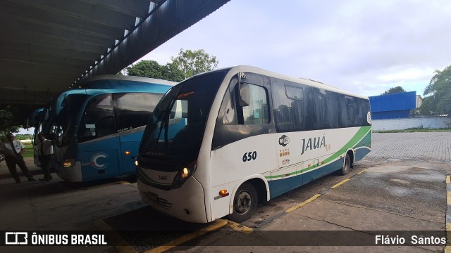 Viação Jauá 650 na cidade de Cruz das Almas, Bahia, Brasil, por Flávio  Santos. Número da foto: #13145462.
