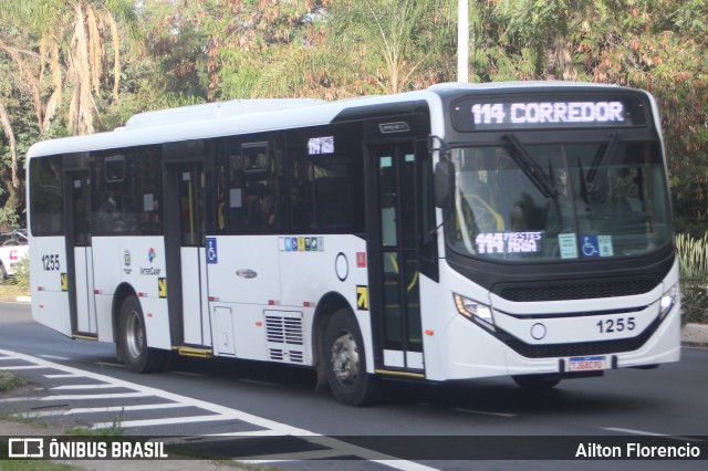 VB Transportes e Turismo 1255 na cidade de Campinas, São Paulo, Brasil, por Ailton Florencio. Número da foto: #13146591.
