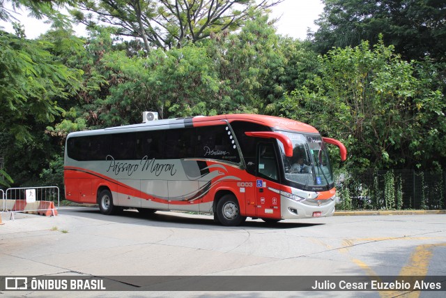 Empresa de Ônibus Pássaro Marron 6003 na cidade de São Paulo, São Paulo, Brasil, por Julio Cesar Euzebio Alves. Número da foto: #13146214.