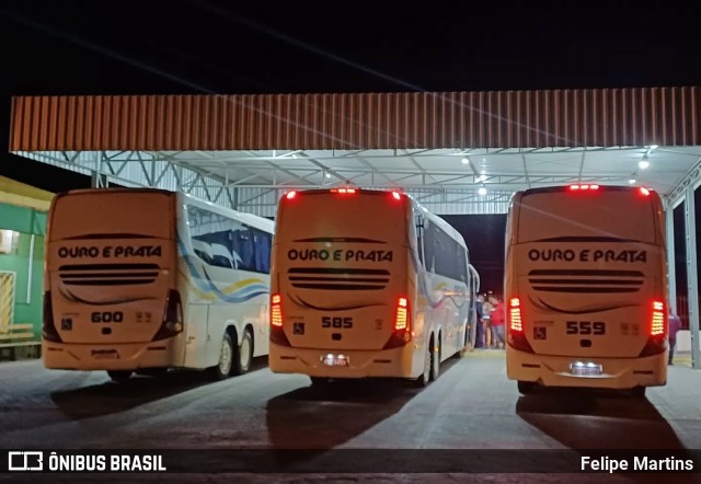 Viação Ouro e Prata 559 na cidade de Santana do Livramento, Rio Grande do Sul, Brasil, por Felipe Martins. Número da foto: #13145263.