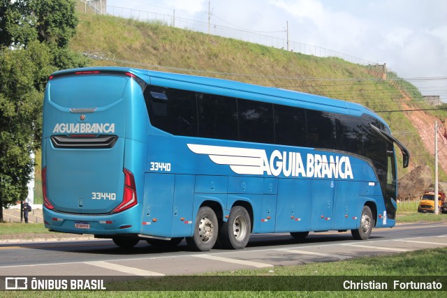 Viação Águia Branca 33440 na cidade de Muriaé, Minas Gerais, Brasil, por Christian  Fortunato. Número da foto: #13147533.