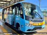 TCGL - Transportes Coletivos Grande Londrina 4603 na cidade de Londrina, Paraná, Brasil, por André Aguirra Taioqui. Número da foto: #13145813.