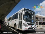 Transnacional Transportes Urbanos 08008 na cidade de Natal, Rio Grande do Norte, Brasil, por Elianderson Silva. Número da foto: #13146435.