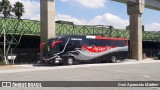 Empresa de Ônibus Pássaro Marron 8802 na cidade de Guarulhos, São Paulo, Brasil, por Osni Aparecido Martins. Número da foto: #13146808.