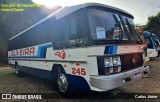 Viação Oliveira 245 na cidade de Campinas, São Paulo, Brasil, por Carlos Júnior. Número da foto: #13145735.