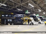 Empresa Cruz 60117 na cidade de São Paulo, São Paulo, Brasil, por Rodrigo Piragibe. Número da foto: #13145491.