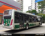 Via Sudeste Transportes S.A. 5 1036 na cidade de São Paulo, São Paulo, Brasil, por Valnei Conceição. Número da foto: #13147981.