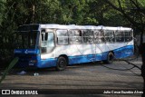 Moreiraiso  na cidade de São Geraldo, Minas Gerais, Brasil, por Julio Cesar Euzebio Alves. Número da foto: #13146295.