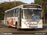 Trectur 1002 na cidade de Três Corações, Minas Gerais, Brasil, por Fábio Mateus Tibúrcio. Número da foto: #13145280.