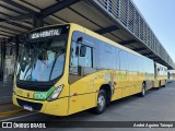 TCGL - Transportes Coletivos Grande Londrina 3173 na cidade de Londrina, Paraná, Brasil, por André Aguirra Taioqui. Número da foto: #13145820.