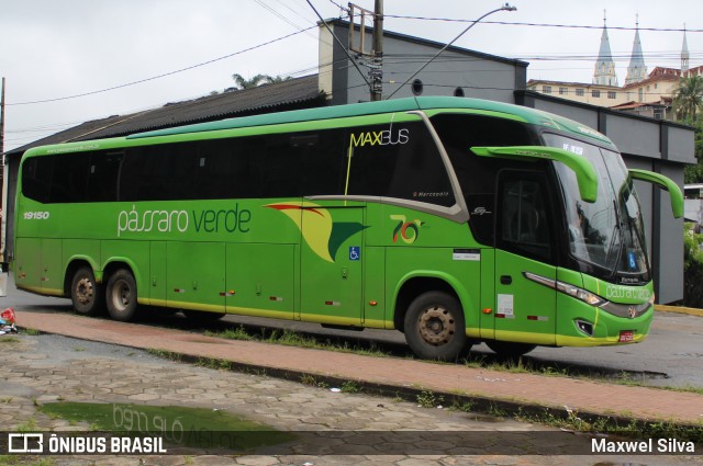 Pássaro Verde 19150 na cidade de Ponte Nova, Minas Gerais, Brasil, por Maxwel Silva. Número da foto: #13097010.