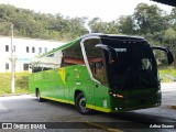 Pássaro Verde 23184 na cidade de Itabirito, Minas Gerais, Brasil, por Arthur Soares. Número da foto: #13098534.