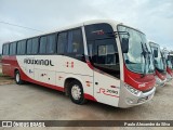 Rouxinol 2090 na cidade de São Brás do Suaçuí, Minas Gerais, Brasil, por Paulo Alexandre da Silva. Número da foto: #:id.