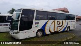 Empresa de Transportes Pionesul 65 na cidade de Pelotas, Rio Grande do Sul, Brasil, por RODRIGO Souza. Número da foto: #13095914.