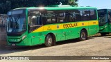Transportes Capellini 12394 na cidade de Paulínia, São Paulo, Brasil, por Allan Henrique. Número da foto: #13096589.