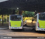 Terra Auto Viação 050 na cidade de Jales, São Paulo, Brasil, por Altair de Souza. Número da foto: #:id.