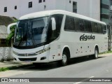 Águia Turismo 11376 na cidade de João Pessoa, Paraíba, Brasil, por Alexandre Dumas. Número da foto: #13096119.