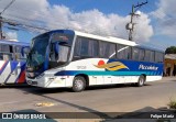 Piccolotur Transportes Turísticos 13102 na cidade de Guarulhos, São Paulo, Brasil, por Felipe Mariz. Número da foto: #13099050.