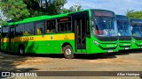 Transportes Capellini 32865 na cidade de Paulínia, São Paulo, Brasil, por Allan Henrique. Número da foto: #13099000.