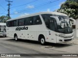 Águia Turismo 11130 na cidade de João Pessoa, Paraíba, Brasil, por Alexandre Dumas. Número da foto: #13096147.