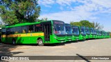 Transportes Capellini 32865 na cidade de Paulínia, São Paulo, Brasil, por Allan Henrique. Número da foto: #13098993.