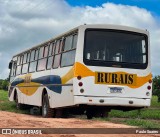 Transporte Rural 4G85 na cidade de Gália, São Paulo, Brasil, por Paulo Soares. Número da foto: #13095773.