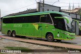 Pássaro Verde 19150 na cidade de Ponte Nova, Minas Gerais, Brasil, por Maxwel Silva. Número da foto: #13097010.