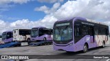 Governo do Estado do Pará BRT METROPOLITANO na cidade de Belém, Pará, Brasil, por Samara Goes. Número da foto: #13096818.