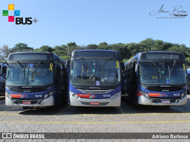 Transportes Capellini 12018 na cidade de Valinhos, São Paulo, Brasil, por Adriano Barbosa. Número da foto: #13150898.